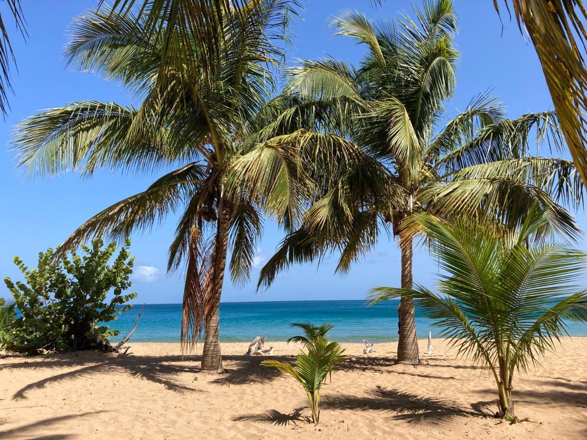 Coco-Mango Apt C ديساي المظهر الخارجي الصورة